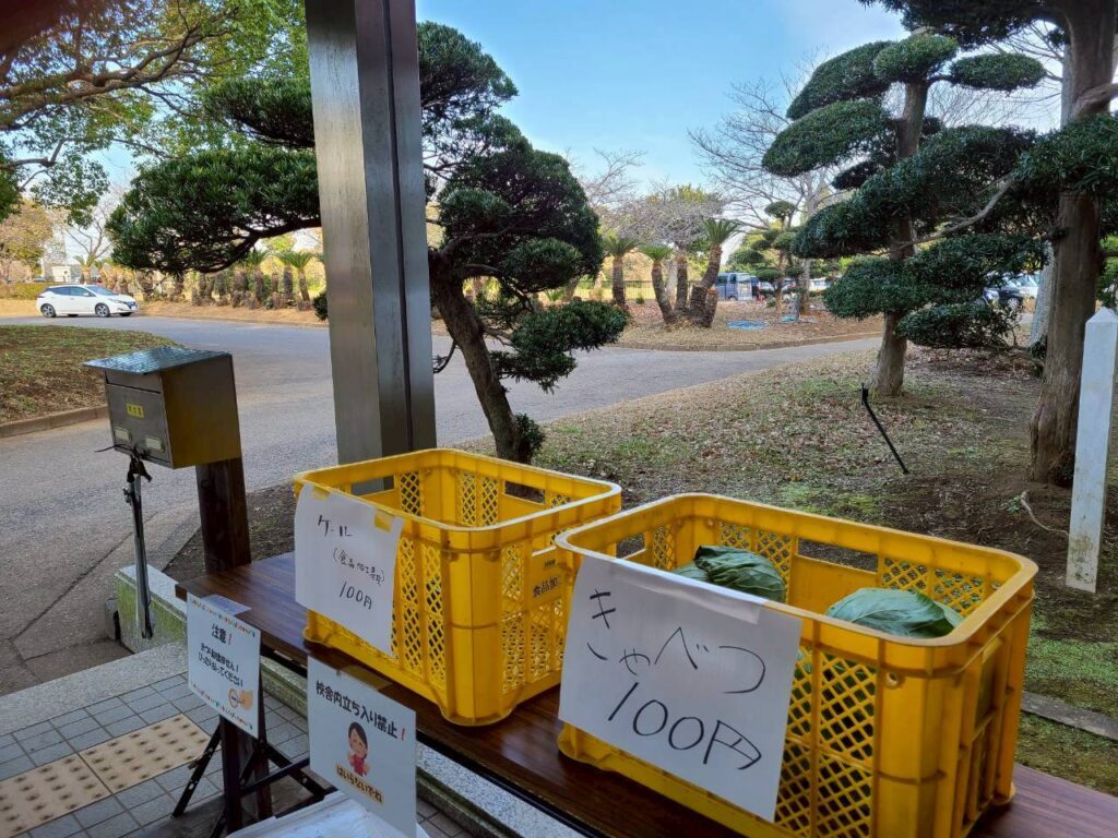 現在の画像に代替テキストがありません。ファイル名: 12738_0.jpg